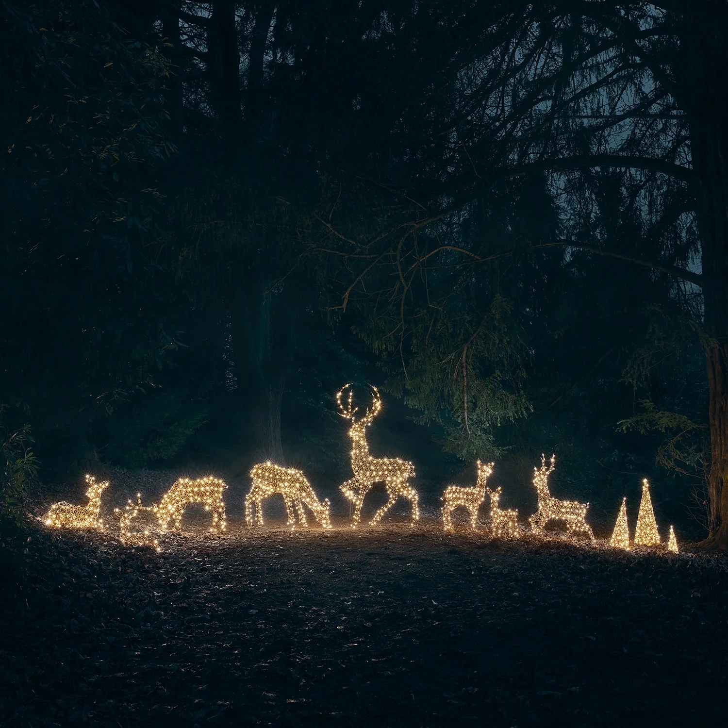 2m Studley Rattan Stag Dual Colour LED Light Up Reindeer - Image 5