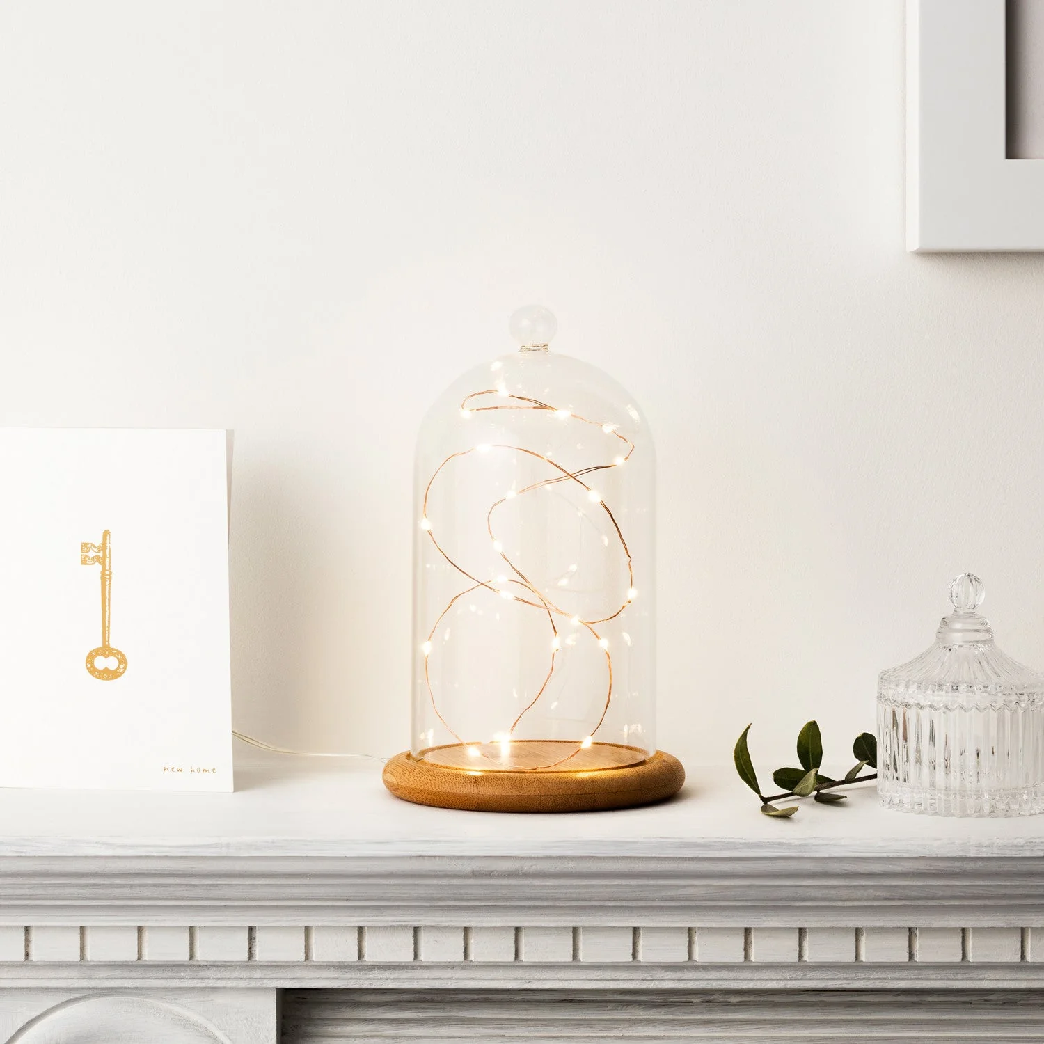 Regular Glass Dome Bell Jar 20cm - Image 4