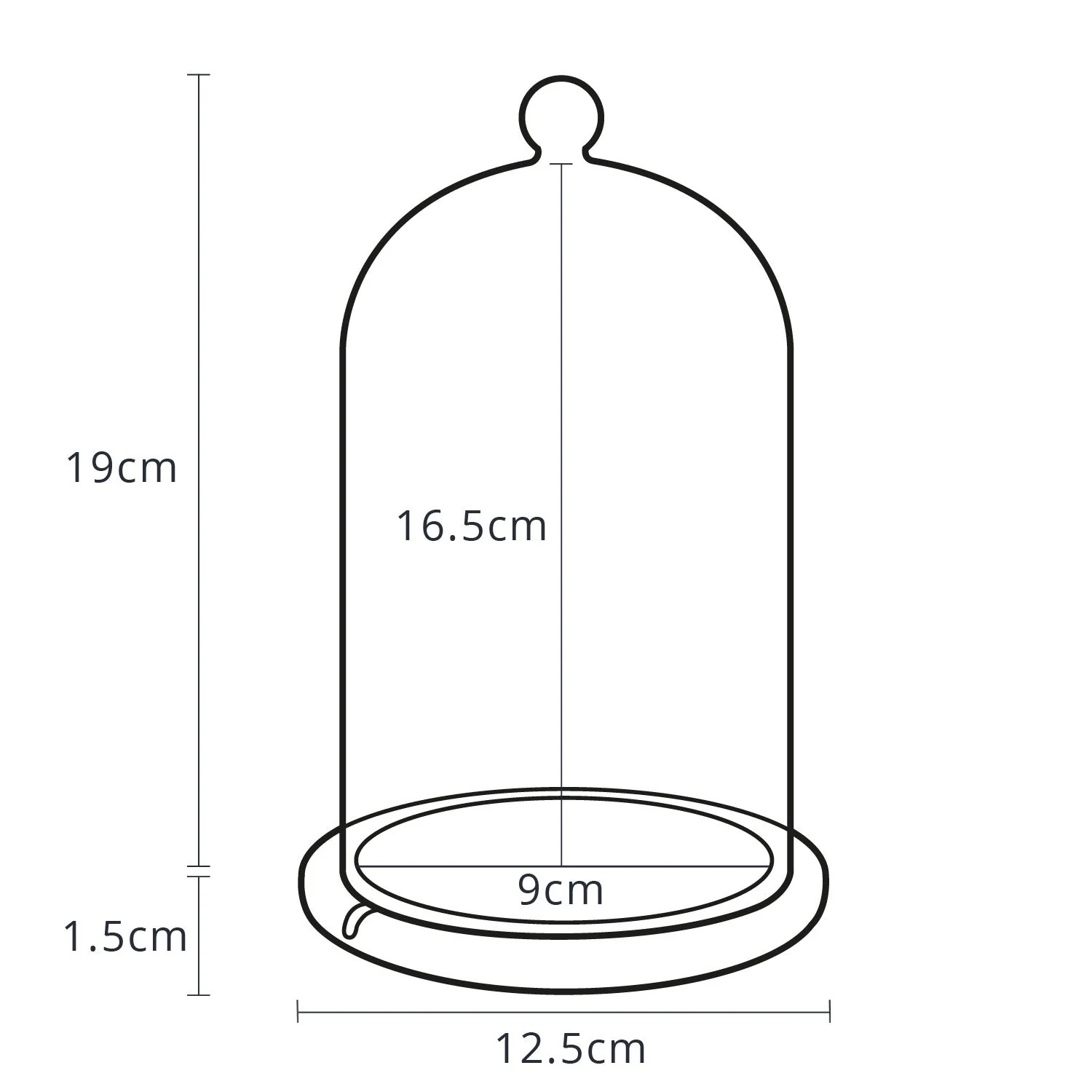Regular Glass Dome Bell Jar 20cm - Image 7